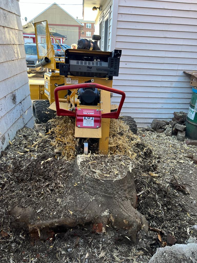 Stump grind removal machine removing a stup