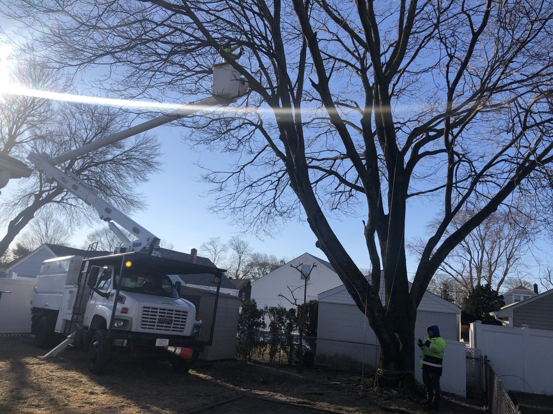 M&M tree service workers at a job doing tree trimmings