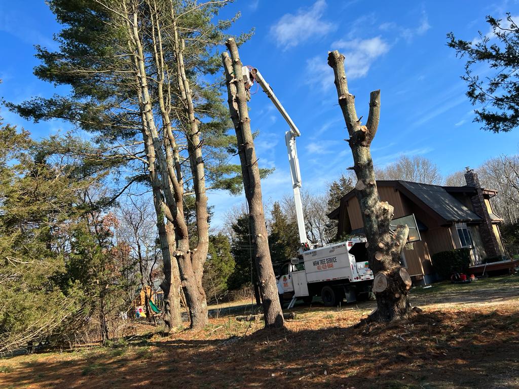 Tree trimming services in Rhode Island