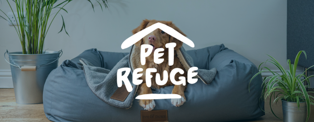 Dog in a bed, logo “Pet Refuge” over it. Home setting with plants.