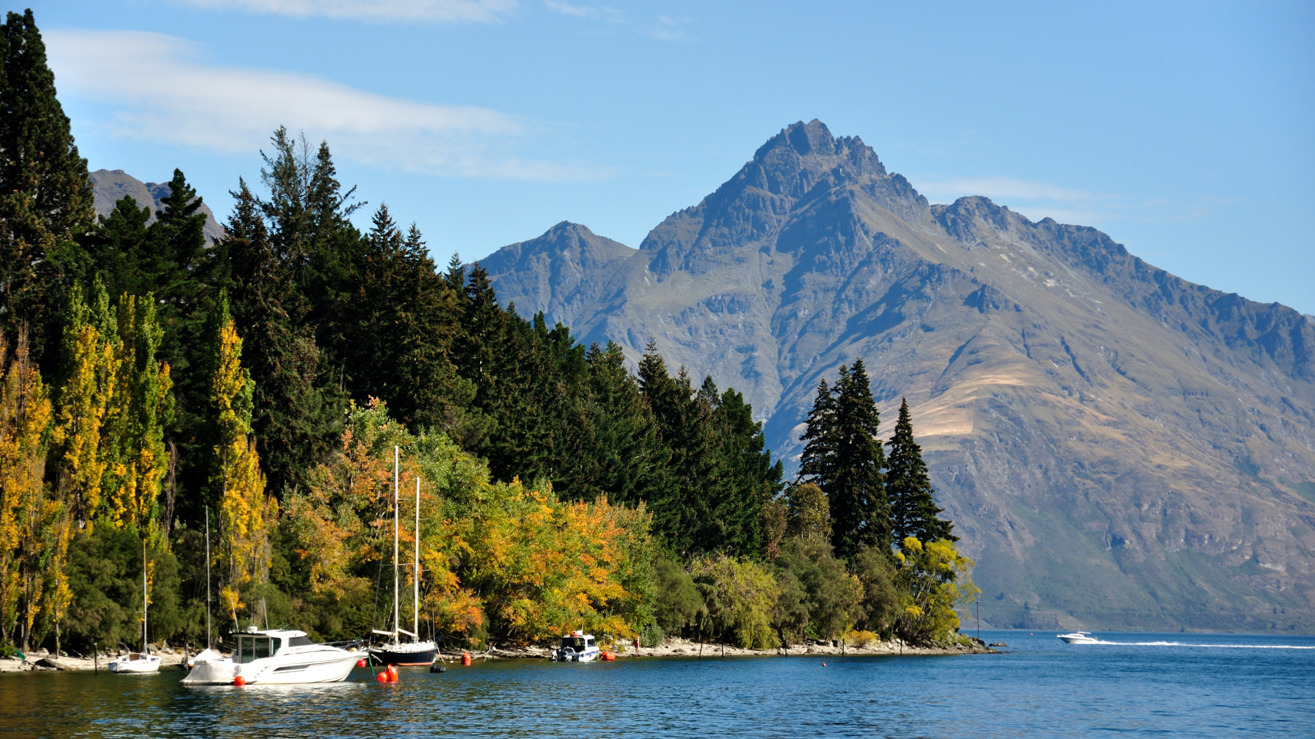 Planning Your Summer Itinerary: The Best Places to Visit in New Zealand ...