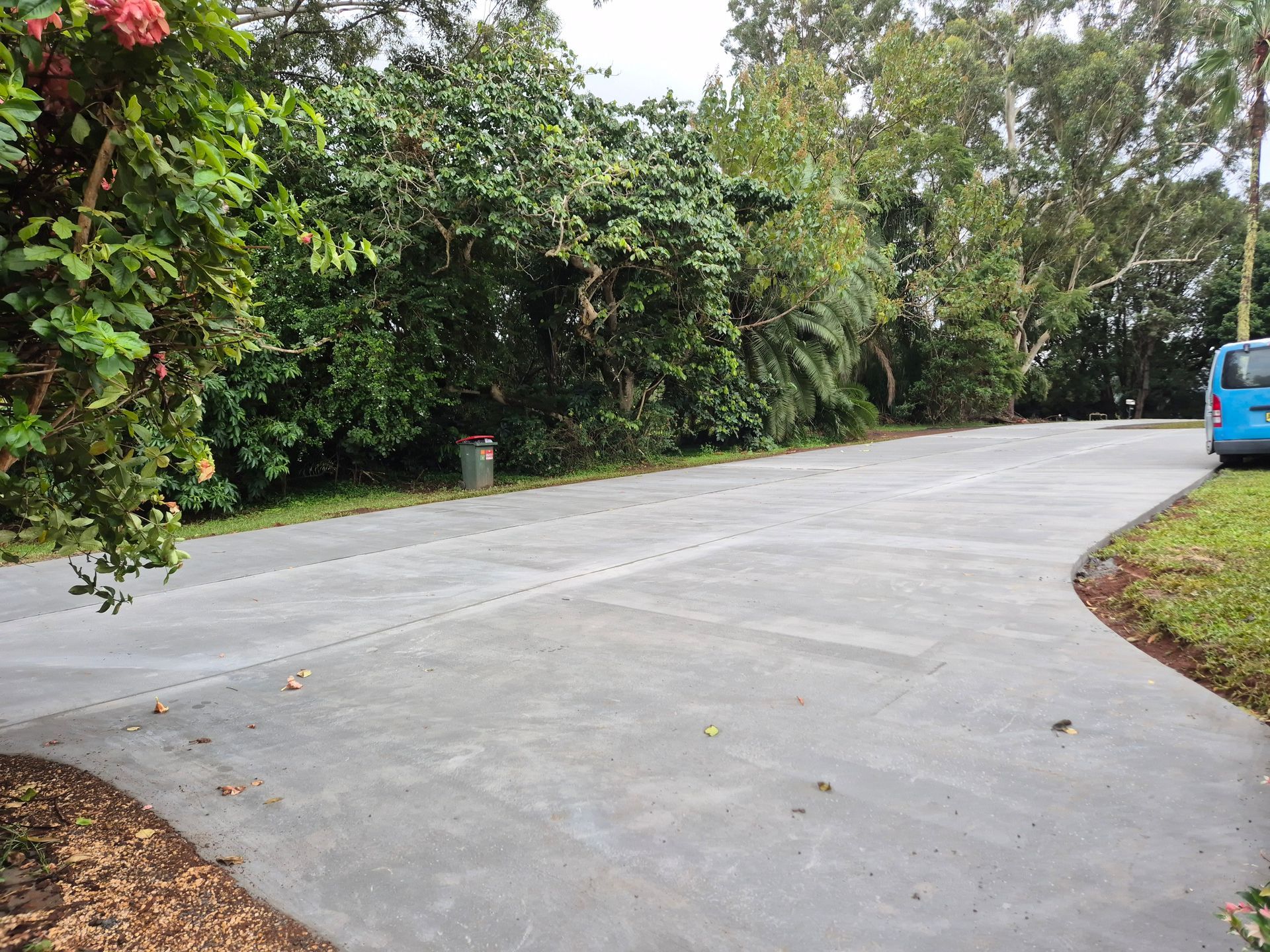 Paved Driveway Curves Through Lush Green Trees — All Around Concreting in Wollongbar, NSW