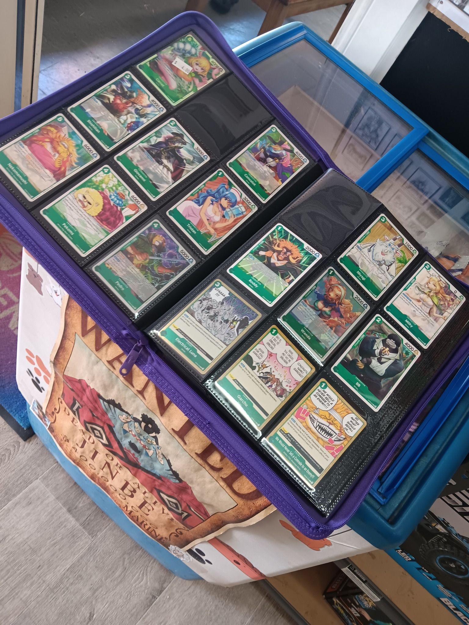 Purple Bin Holding Card Binders, With Digimon Cards Inside — Grim Gaming & Hobbies in Bundaberg Central, QLD