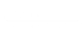 Blank white background.