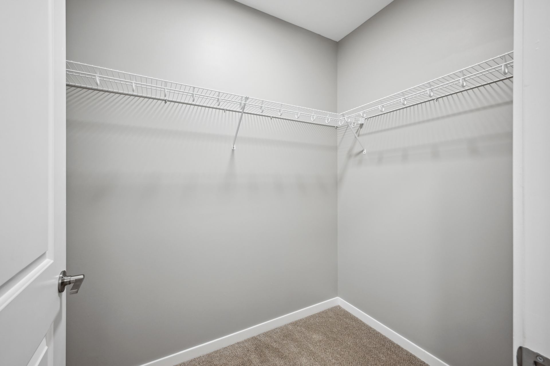 An empty walk-in closet with beige carpet, light gray walls, and white wire shelving mounted along the back wall.