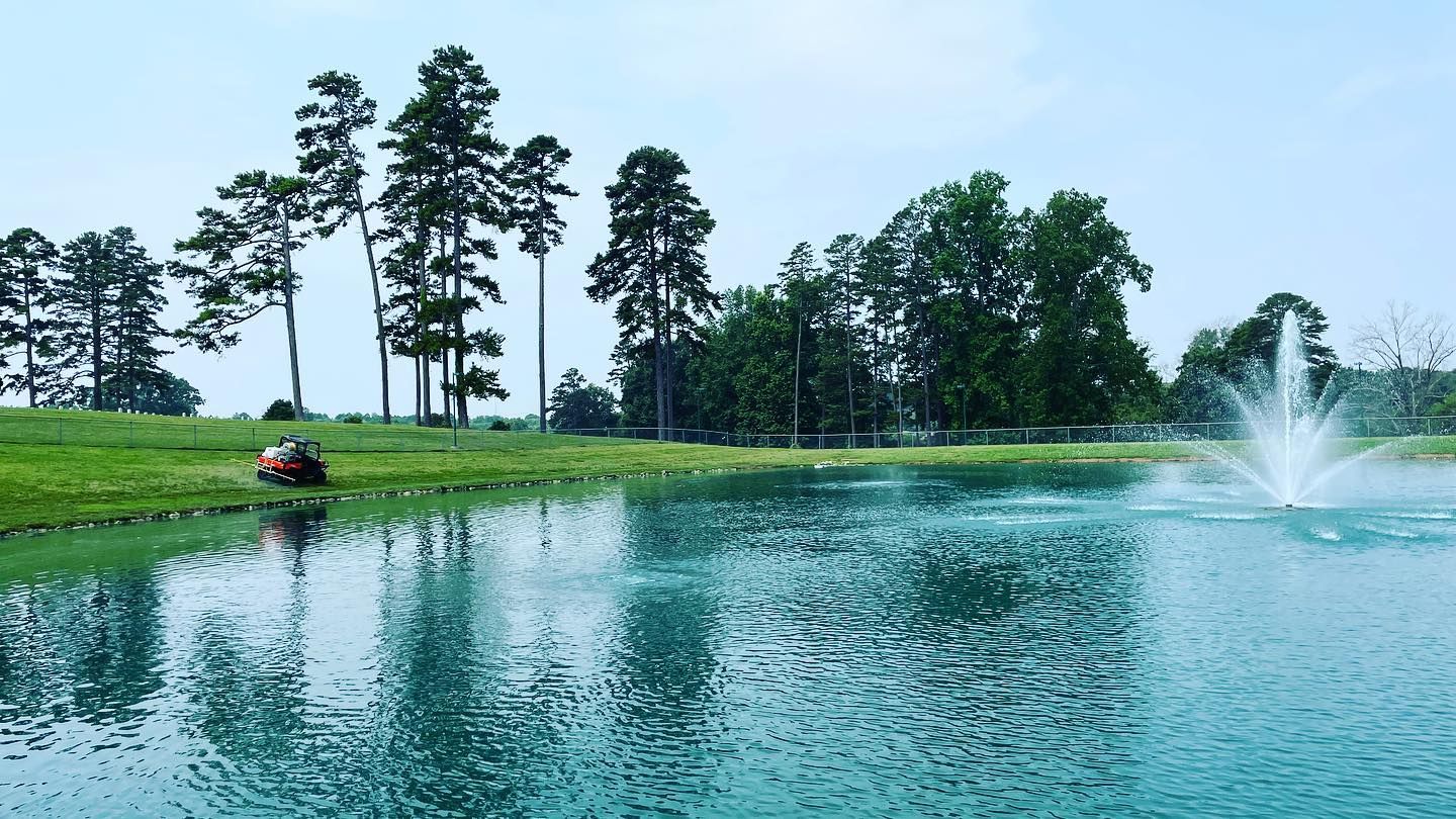 Pond with fountain, green grass, and trees under a blue sky.