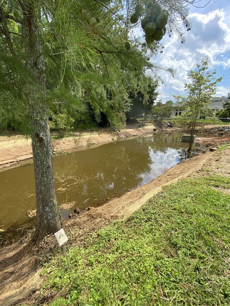 A muddy pond with bare banks is bordered by grass and trees under a cloudy sky.