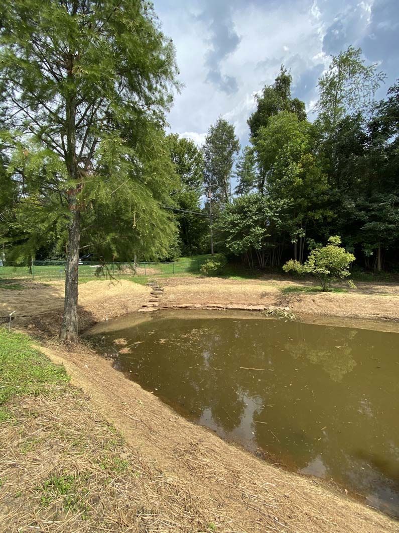 A brown pond with bare banks, trees on its edges, and a cloudy sky overhead.