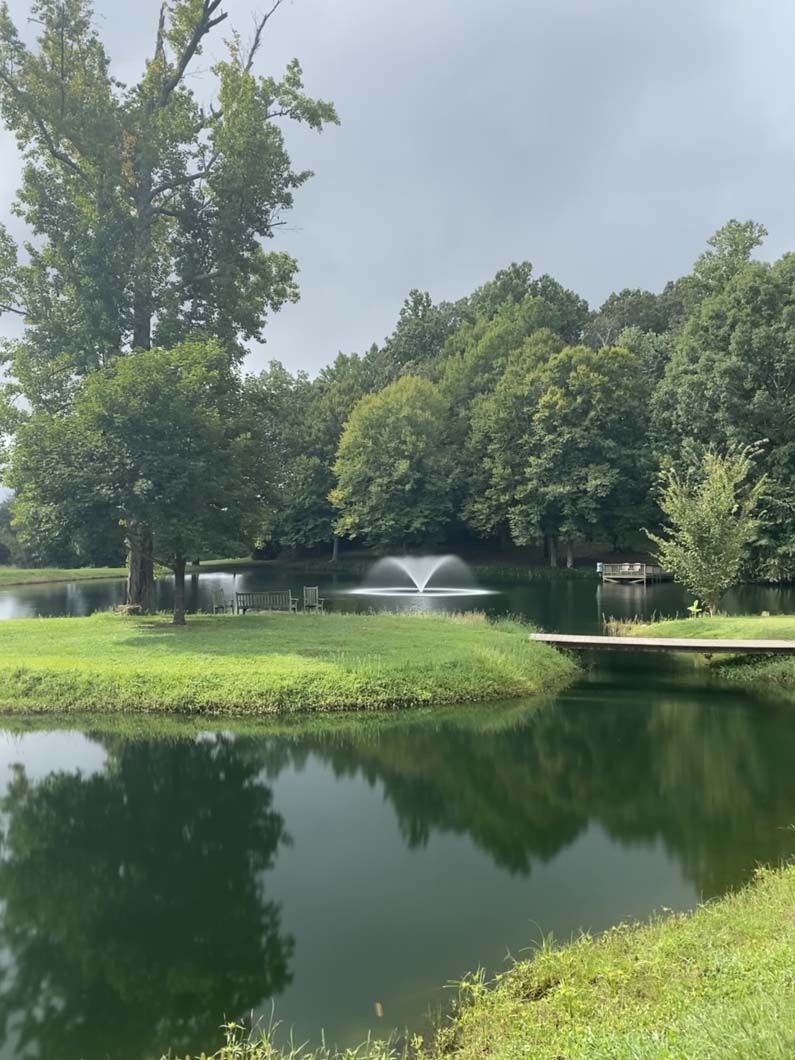 Pond with a fountain, small islands, and lush green trees reflecting in the water. Overcast sky.
