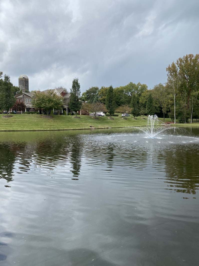 Pond with fountain, trees, and a building under an overcast sky.