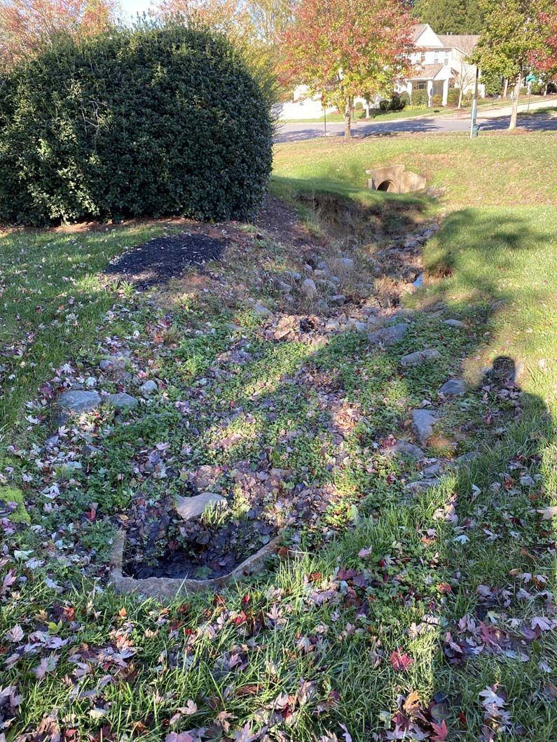 Grassy area with a sunken drain, a dark bush, and a house visible in the background.