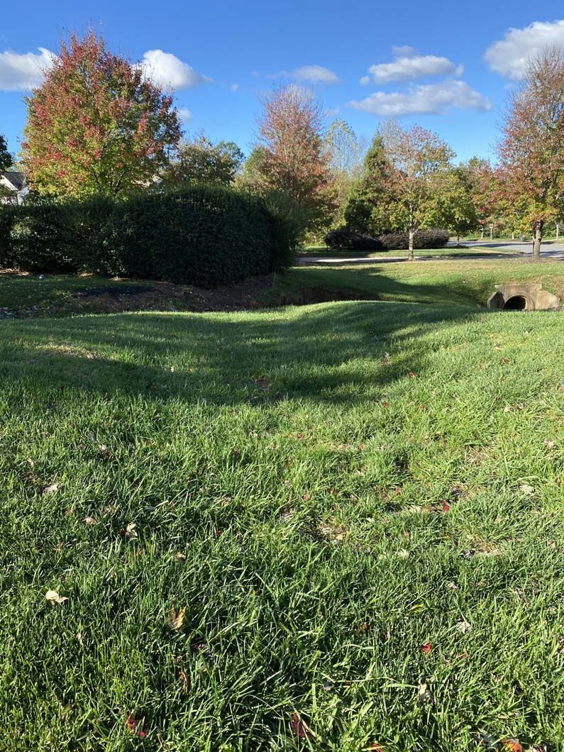 Green grass field with trees in fall colors under a blue sky with white clouds.