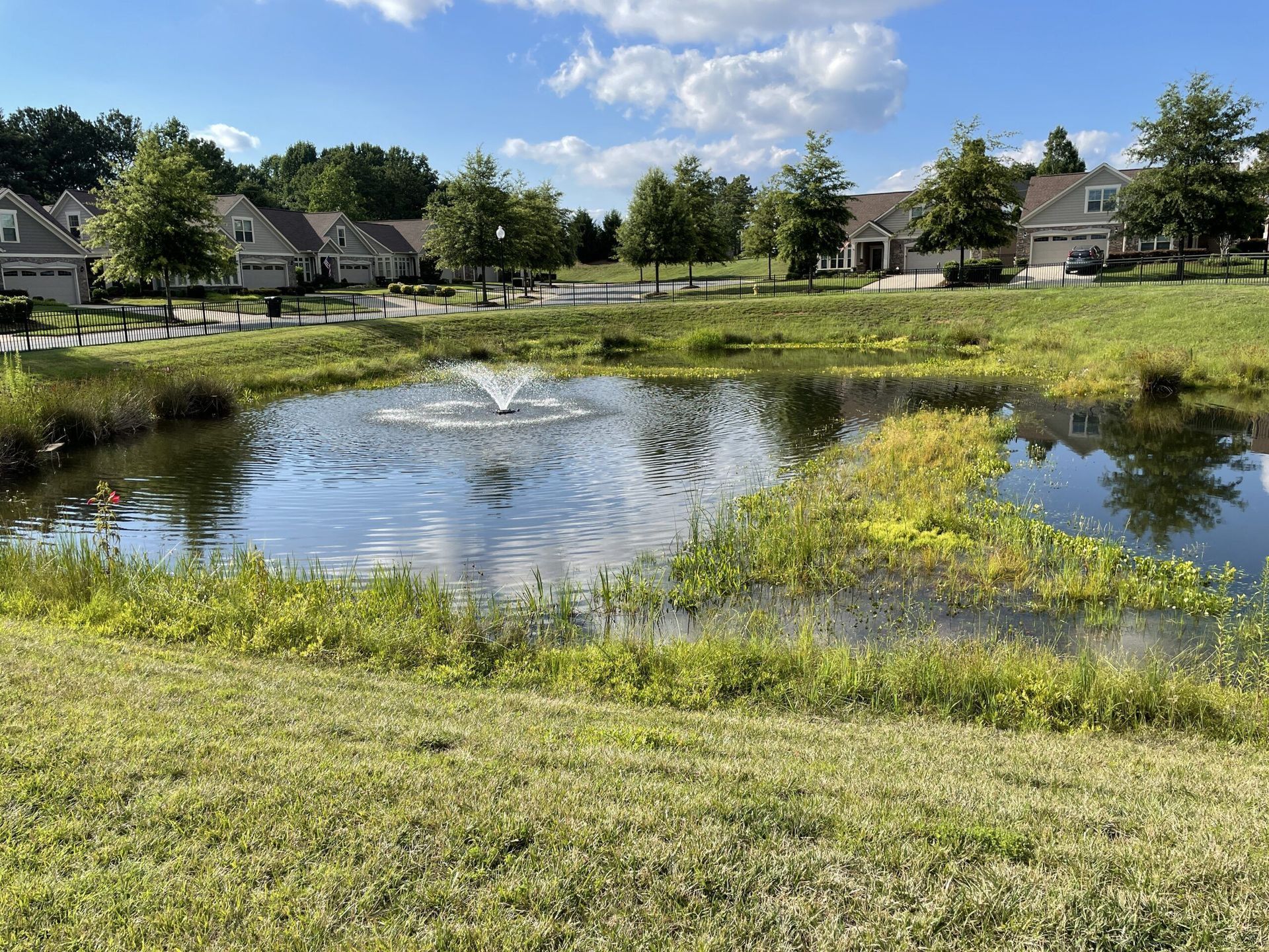Pond with fountain, surrounded by green grass and vegetation, in front of houses under a blue sky.