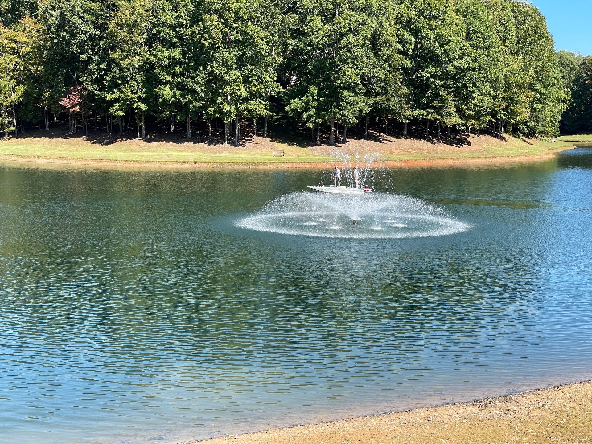 Pond with fountain spraying water, surrounded by trees on a sunny day.