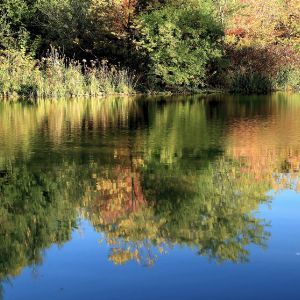 Calm lake reflects trees with colorful fall foliage on a sunny day.