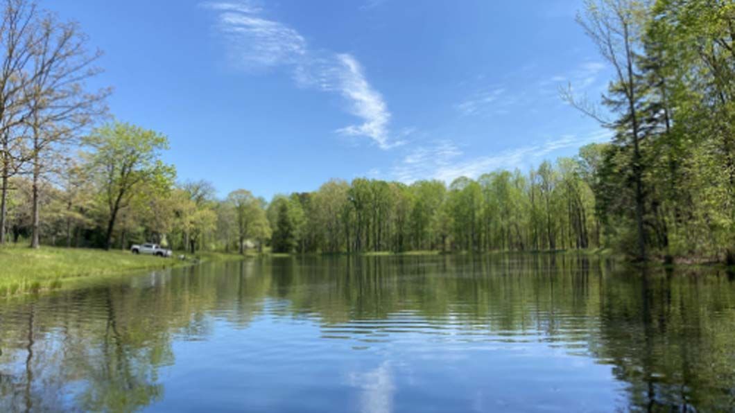 A calm lake reflects trees and a bright blue sky with wispy clouds.