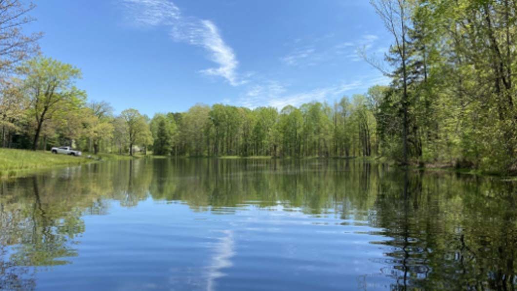 Still lake reflects trees and blue sky with clouds; sunny day.
