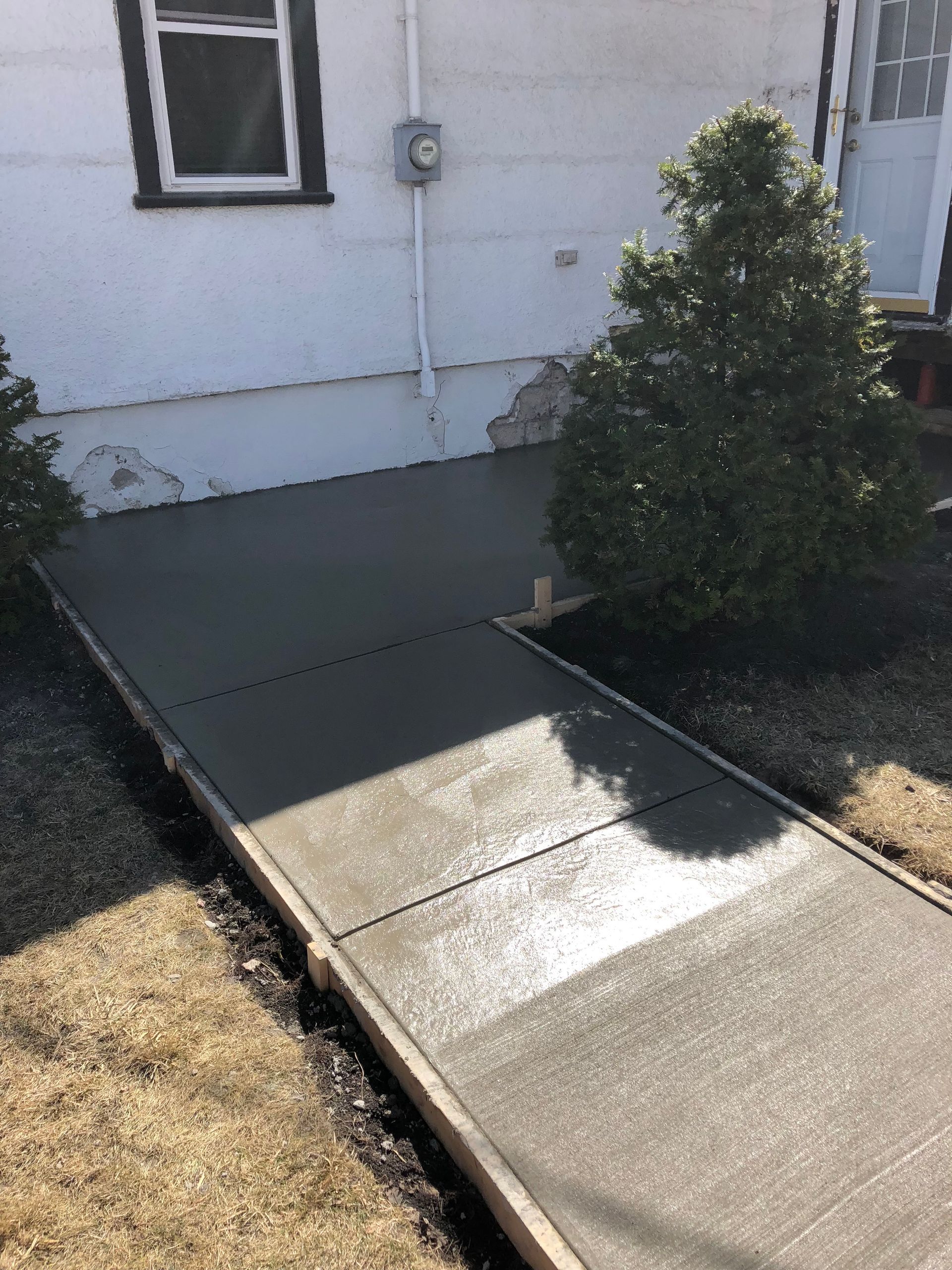 A newly poured concrete walkway leads to the side entrance of a white house beside a small evergreen shrub.