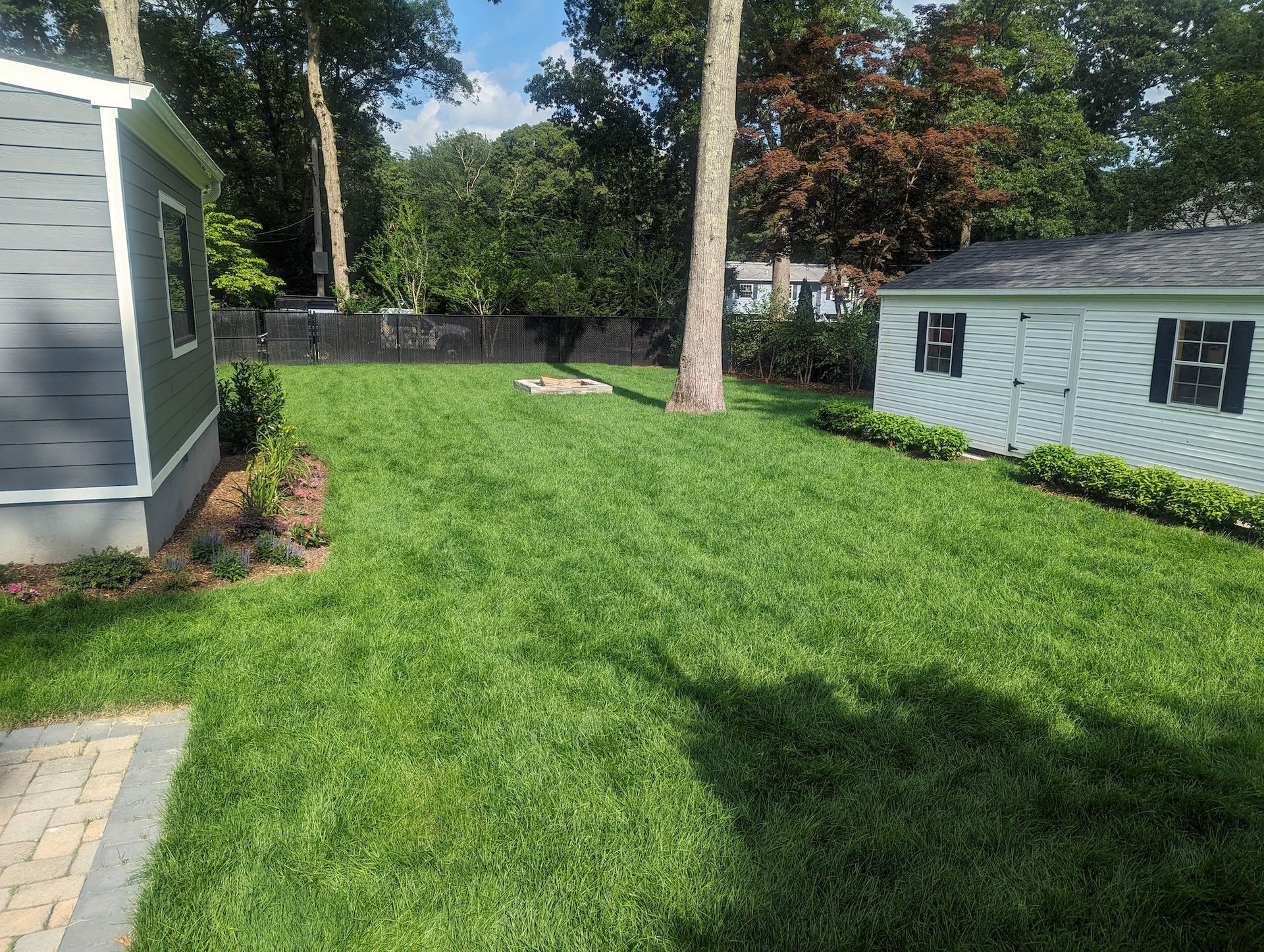 new grass install in the side yard