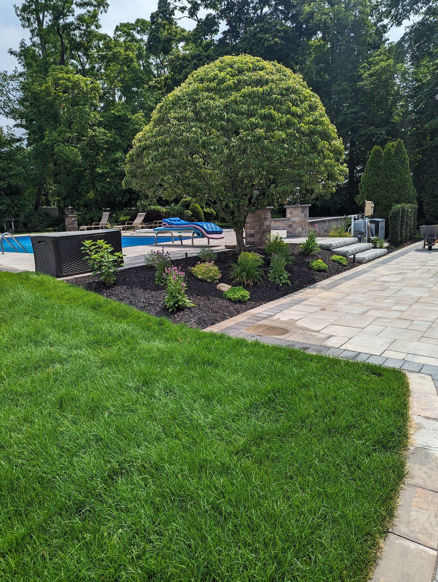 New tree and shrub installation near new pool area