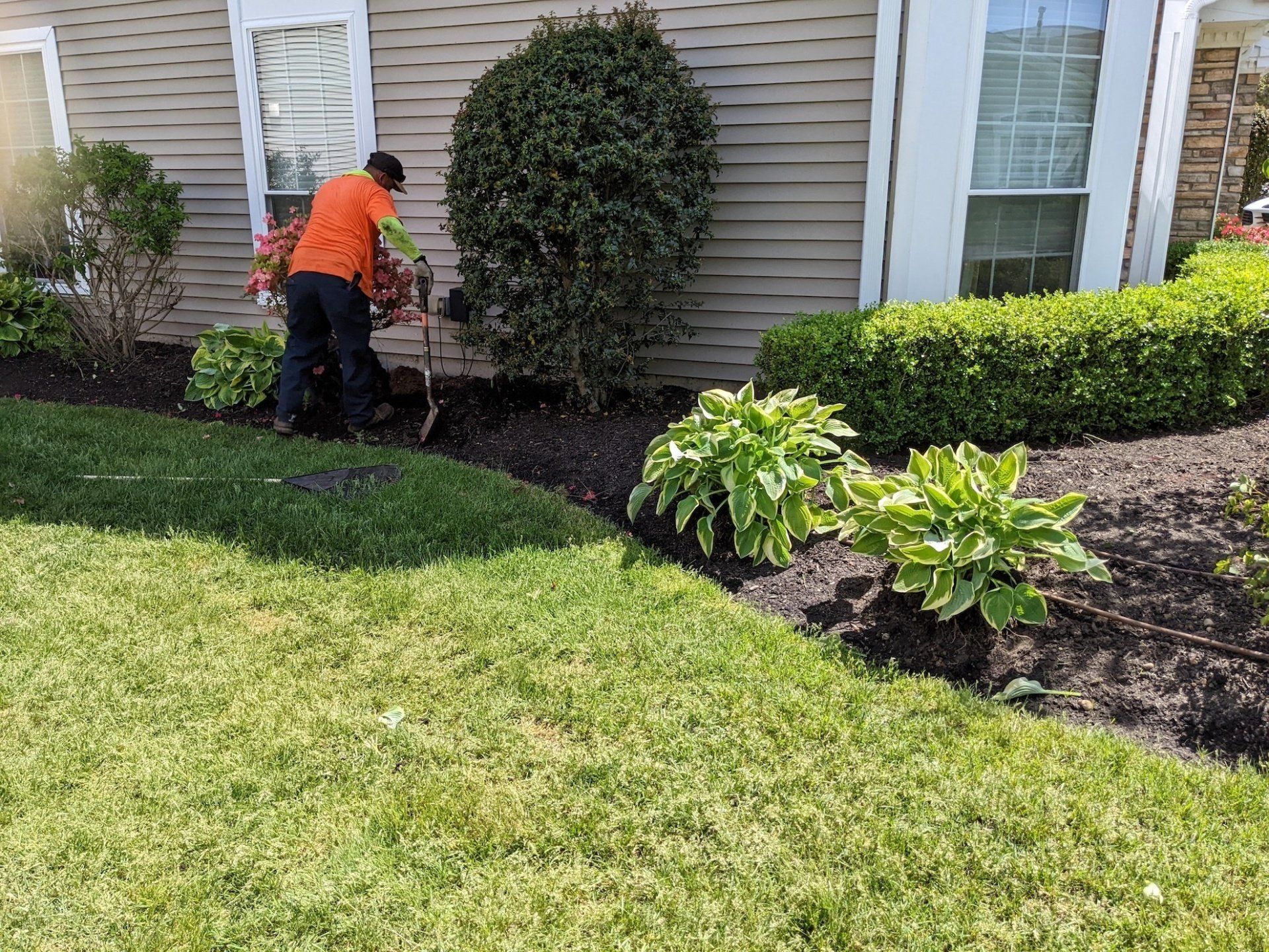 Plant Install