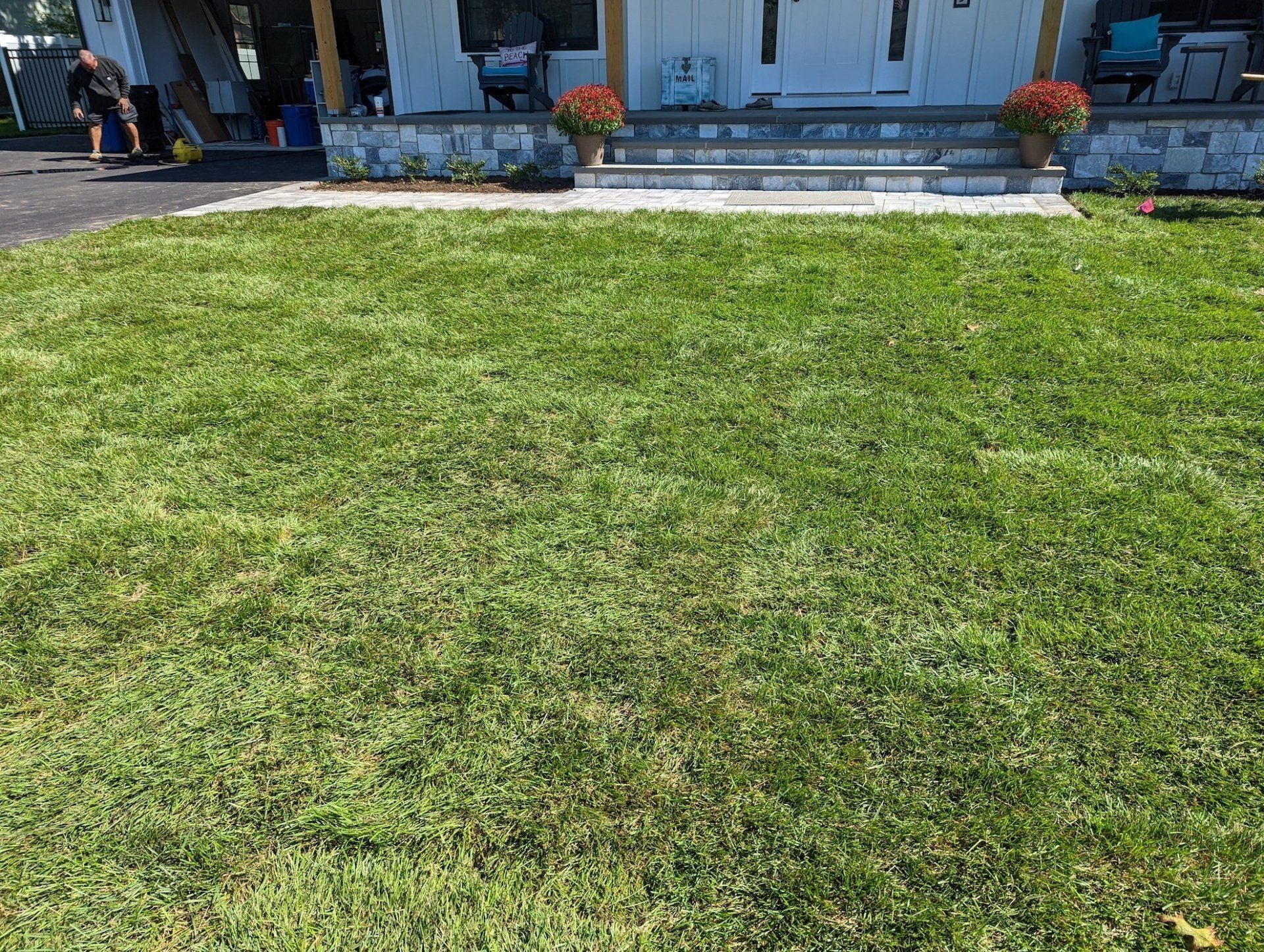 Sod Installation