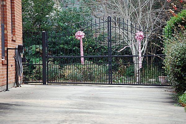security gate