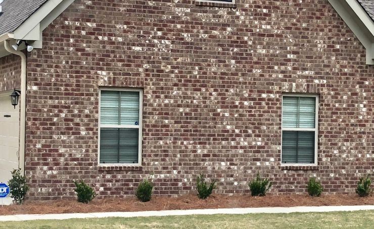 interior burglar bars