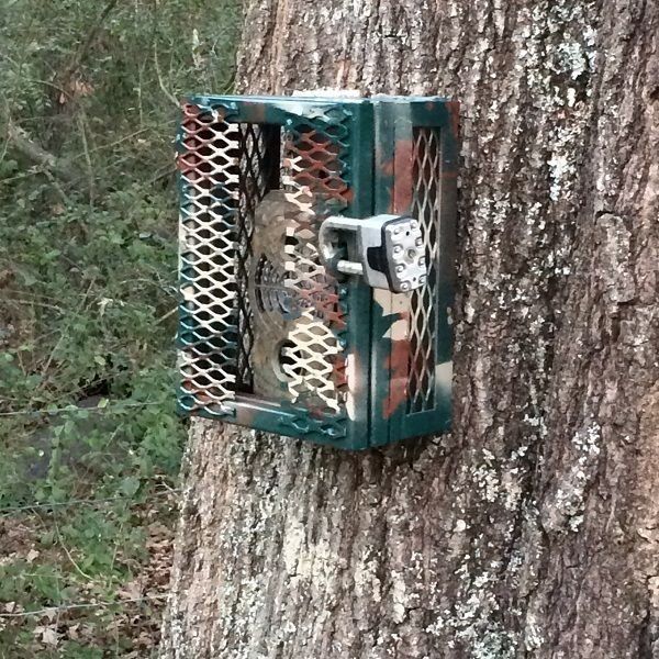 a bird feeder is attached to a tree in the woods
