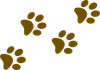 Brown paw prints scattered across white background.