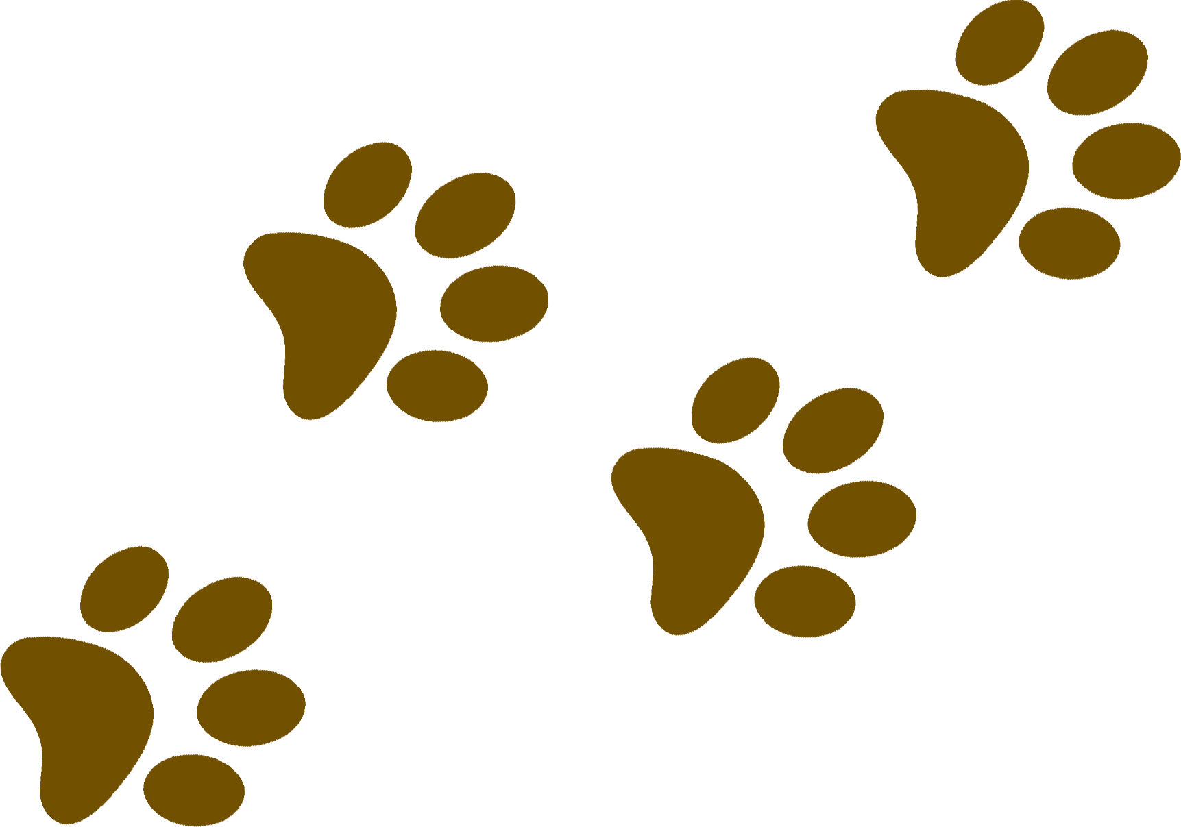 Brown paw prints scattered across white background.