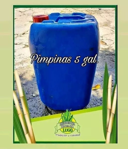 Distribuidora de Melaza Lugo