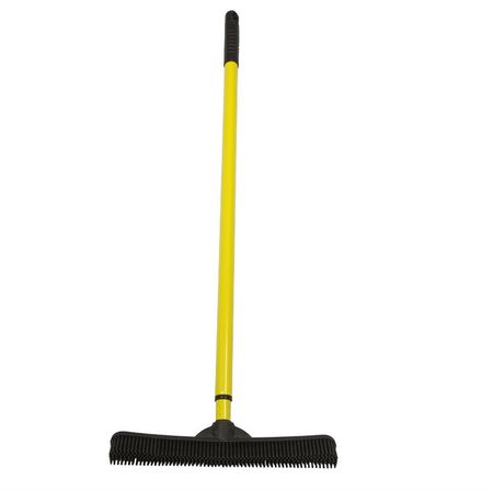 Broom for dogs