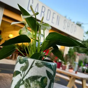 Above the Dirt Garden & Honey Shop