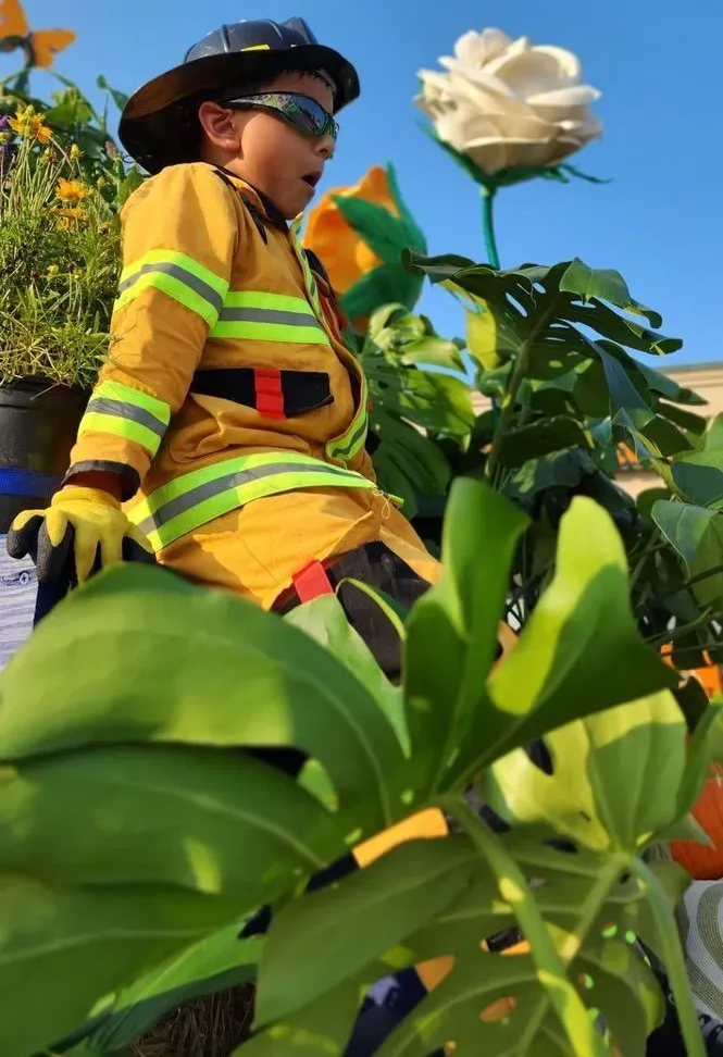 Above the Dirt Garden & Honey Shop