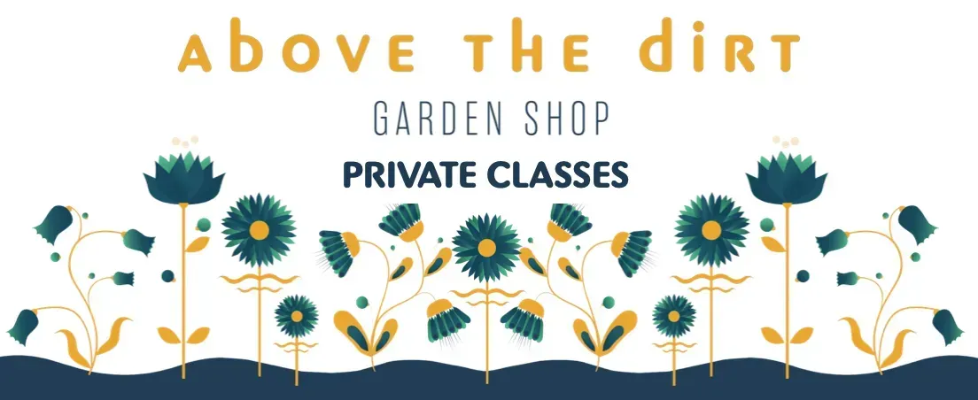 Above the Dirt Private Classes