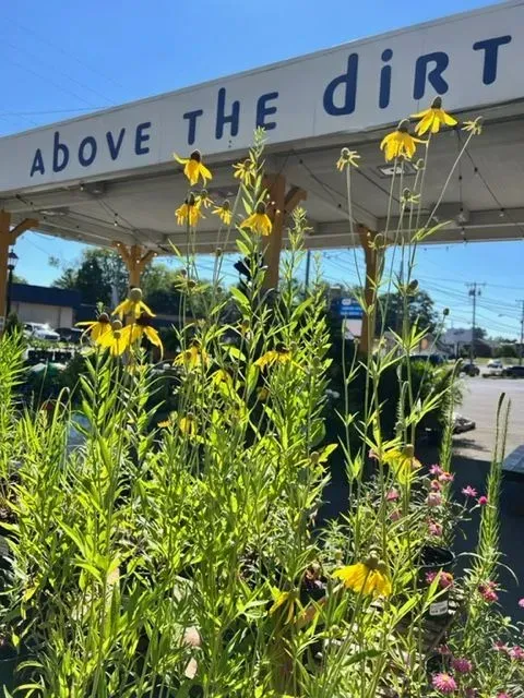 Introduction to Native Plants