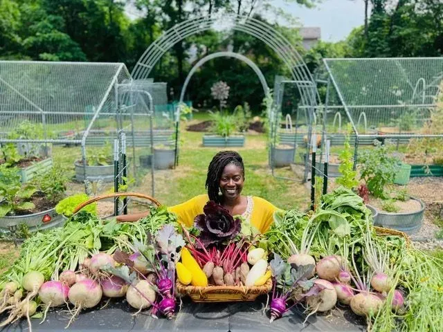 Vegetable Gardening 101 - A Quick Guide