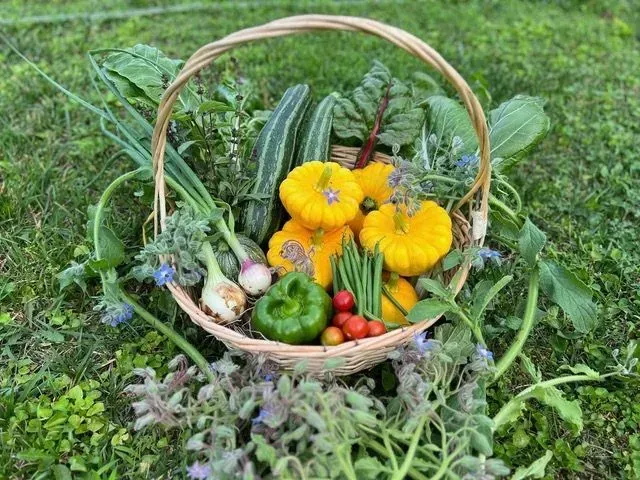 Join GroLeafy with Alethea, inspiring over 200,000 followers wit