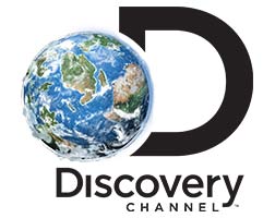 Logo Discovery