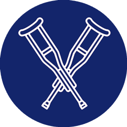 ausili per disabili iicona
