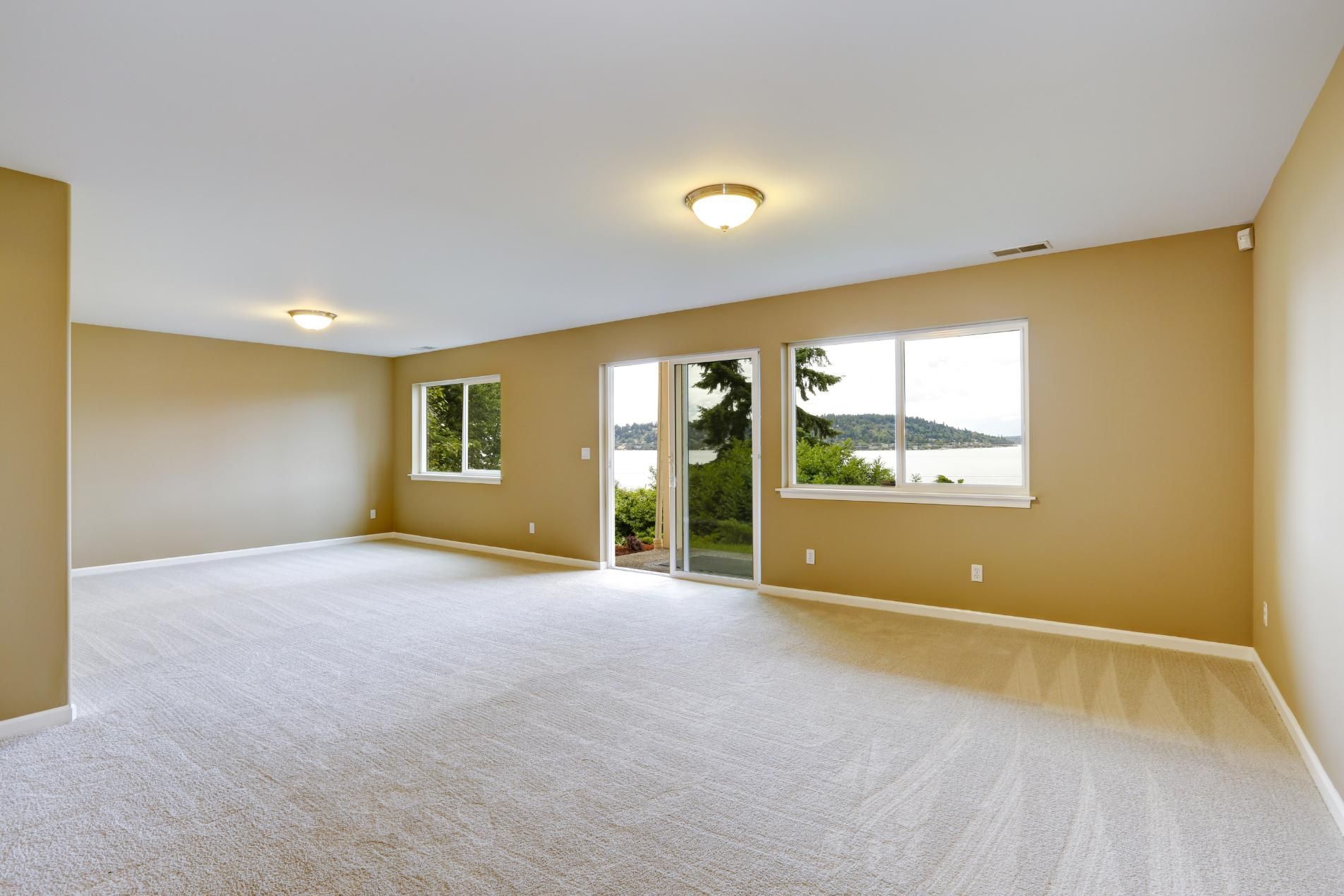 Empty room with beige walls, carpet, and windows overlooking a lake.