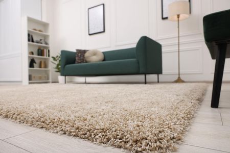 Beige shaggy rug in a living room with a green sofa, bookshelves, and a floor lamp.