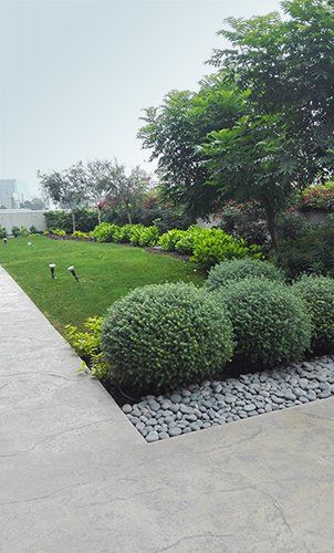 servicio de poda en altura