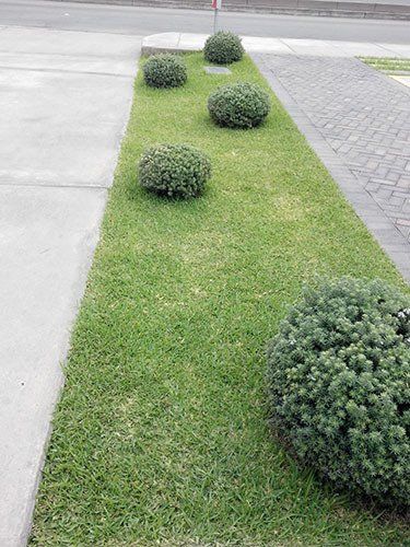 empresa de jardineria