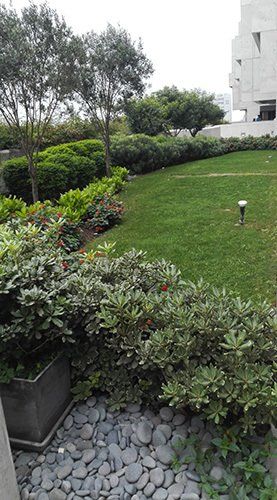 mantenimiento de areas verdes