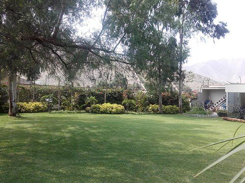 mantenimiento de jardines