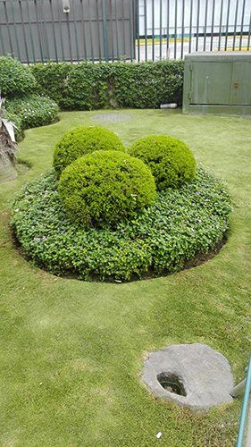 servicio de jardineria