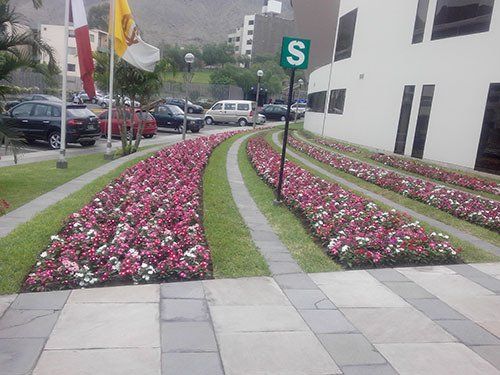 servicios de jardineria y paisajismo