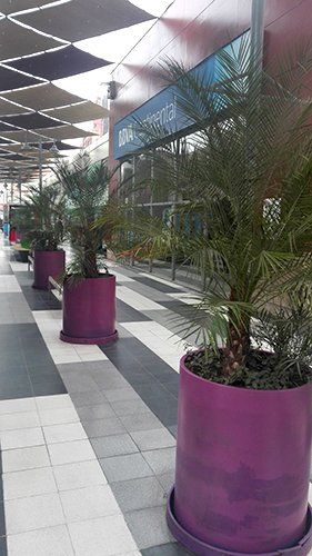 empresa de jardineria